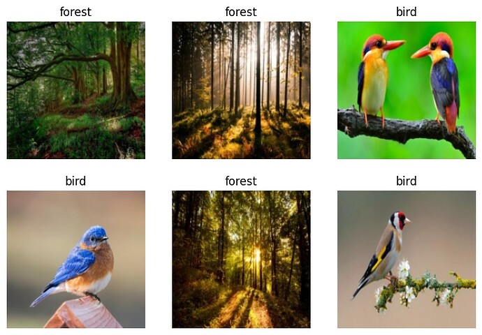 bird vs forest